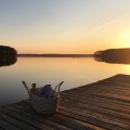 naturalny kosz mojżesza