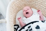 Kosz mojżesza Ahojbaby z kocykien NameMe.
